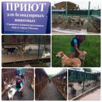 Знакомства Москва Дмитри1 собеседник на час 0095007