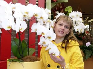 Знакомства Севастополь Людмила 001870055