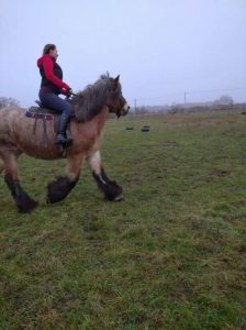 Знакомства Калининград Анна собутыльник на час 59175