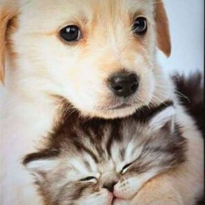 Знакомства Москва Екатерина собеседник на час 7223