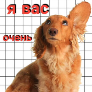 Знакомства Москва Вероника собеседник на час 62731