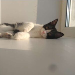 Знакомства Пермь Снежана собутыльник на час 60112