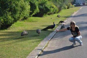 Знакомства Санкт-Петербург Ирэн собеседник на час 56995