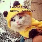 Знакомства Александровск Мария собеседник на час 7961