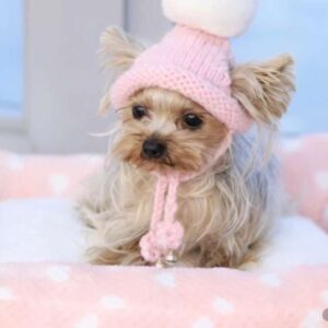 Знакомства Москва Ирсен собеседник на час 7766