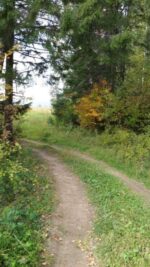 Знакомства Пермь Дина собеседник на час 7604