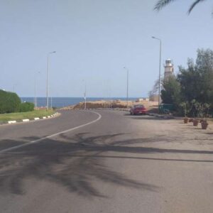 Знакомства Санкт Петербург Алла собеседник на час 7528