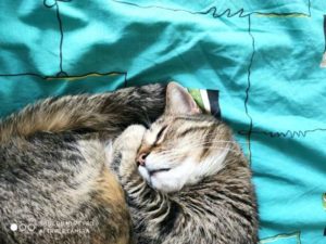 Знакомства Санкт-Петербург Наталья собеседник на час 9284