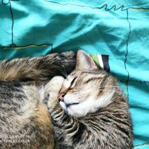 Знакомства Санкт-Петербург Наталья собеседник на час 9284