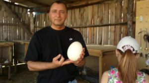 Знакомства Тюмень Андрей собеседник на час 89771