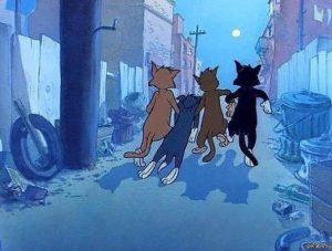 Знакомства Ярославль Ольга собеседник на час 83771