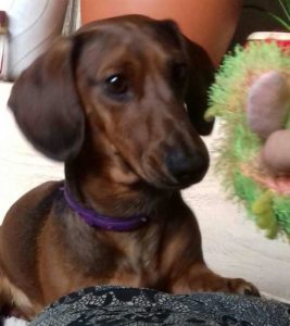 Знакомства Санкт-Петербург Ольга собеседник на час 9935