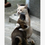 Знакомства Иркутск Алексей собеседник на час 11847