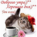 Знакомства Москва Ирина собеседник на час 12410