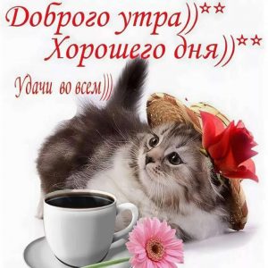 Знакомства Москва Ирина собеседник на час 12410