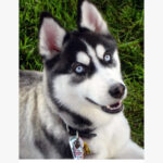 Знакомства Одесса Мария собеседник на час 12407