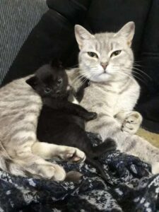 Знакомства Тюмень Григорий собеседник на час 12754