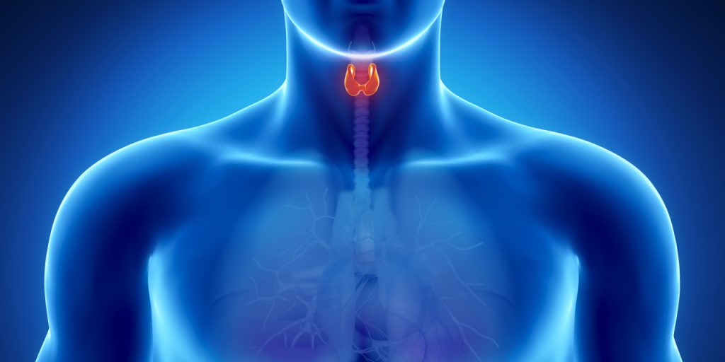 Аналізи на гормони щитовидної залози та як виявити порушення 2